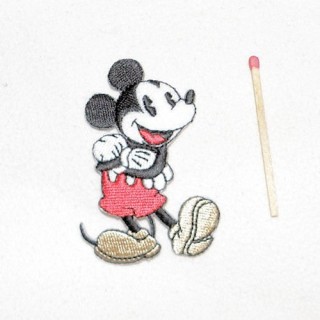 Iron on Embrodery mickey...
