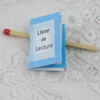 Miniature book, tiny book...
