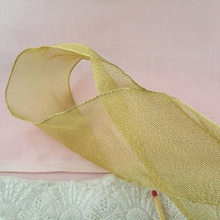 Ribbon is a very fine mesh metallic sheer with a firm texture