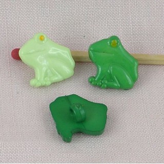 Aquatic, pound animals: frog in profile.