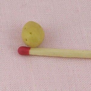 Pomme de terre miniature, légume miniature 11 mm.
