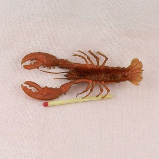 Langouste homard miniature...