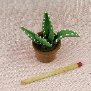 Miniature small house plant for doll house