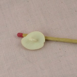 Shank Button sea shell 15 mm