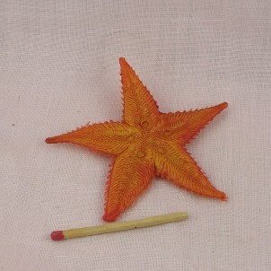 Estrella de mar miniatura cocina muñeca 9 cm.