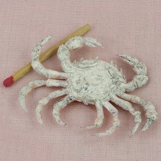Crabe miniature cuisine poupée 9 cm.