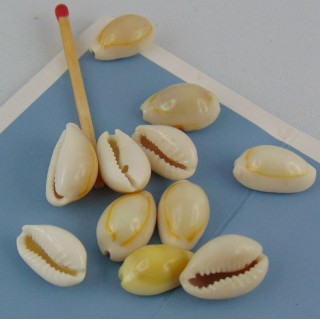 10 Perles en coquillage naturel 15 mm