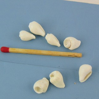 10 Perles en coquillage naturel 1 cm