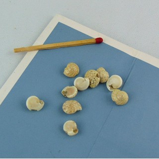 10 Perlas de Concha Natural 7 mm