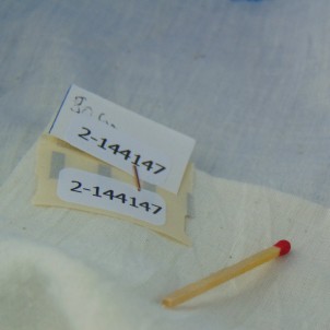 Tissu voile de coton brut au mètre 80 cm
