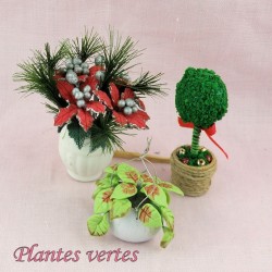 Plantes miniatures